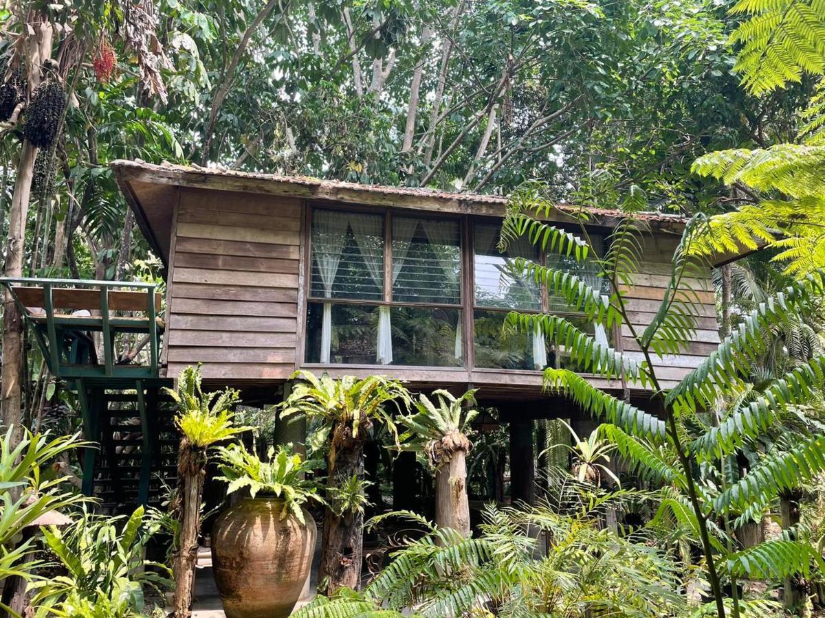 Fern Paradise Chiang Mai Exterior foto