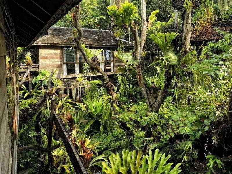 Fern Paradise Chiang Mai Exterior foto