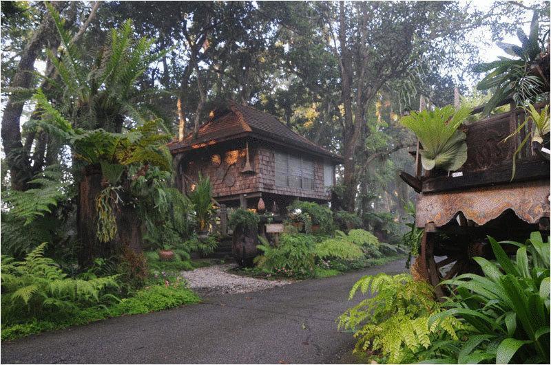 Fern Paradise Chiang Mai Exterior foto