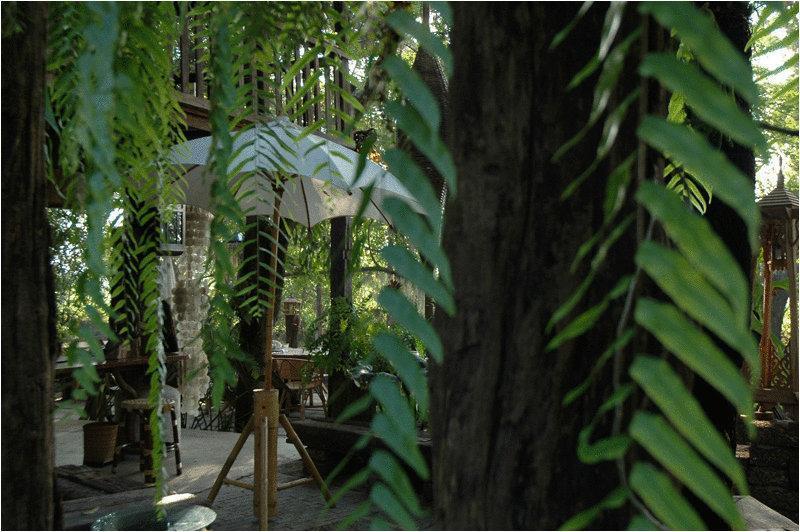 Fern Paradise Chiang Mai Exterior foto
