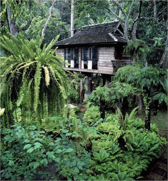 Fern Paradise Chiang Mai Exterior foto
